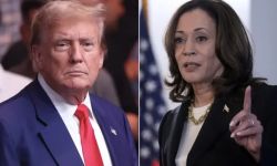 مليارات ترامب وملايين هاريس.. من أين جاءت ثرواتهما؟